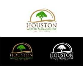 Houston Wealth Management entry by Gunawan Kusnadi