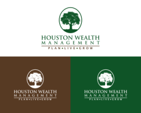 Houston Wealth Management entry by Jony