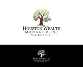 Houston Wealth Management entry by selamet