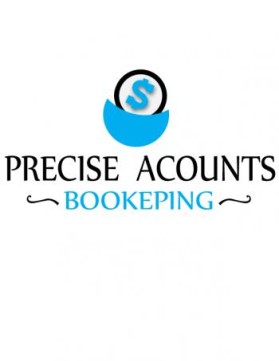 Precise Accounts Bookkeeping entry by Emil