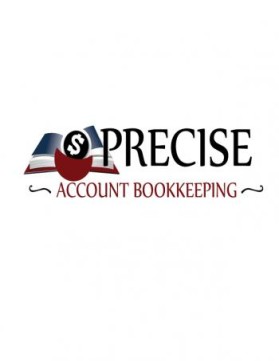 Precise Accounts Bookkeeping entry by Emil