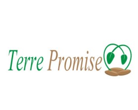 Terre Promise  (www.terrepromise.ca) entry by nadine vida