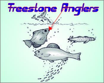 Logo Design for Freestone Anglers