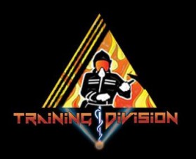 Training Division (trainingdivision.com) entry by DNS:DSGN