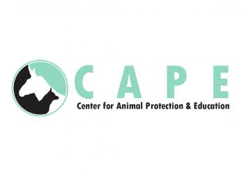 Logo Design entry 795681 submitted by Adam