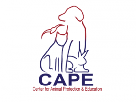 Logo Design entry 796801 submitted by Mar1uS