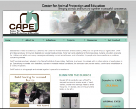 Logo Design entry 765806 submitted by Lifedrops