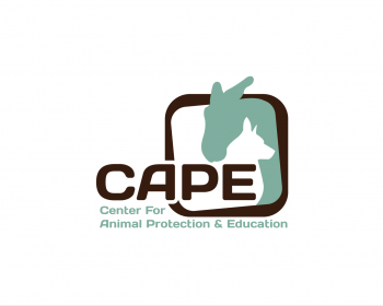 Logo Design entry 797380 submitted by Lifedrops