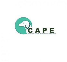 Logo Design entry 798327 submitted by logo741