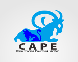 Logo Design entry 798337 submitted by cool_impresion