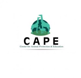 Logo Design entry 798347 submitted by logo741