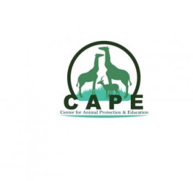 Logo Design entry 798349 submitted by logo741