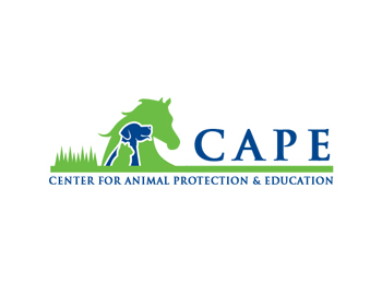 Logo Design entry 798728 submitted by RM.designs