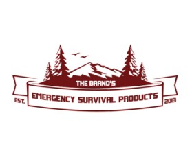 The Brand's Emergency Survival Kit entry by Rey Mark O. Monzales