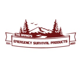 The Brand's Emergency Survival Kit entry by Rey Mark O. Monzales