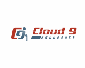 Logo Design entry 805741 submitted by tornado