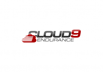 Logo Design entry 806240 submitted by ahoosef