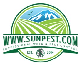 www.sunpest.com entry by Rey Mark O. Monzales