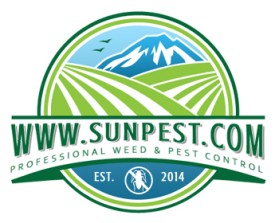www.sunpest.com entry by Rey Mark O. Monzales