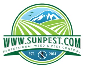 www.sunpest.com entry by Rey Mark O. Monzales