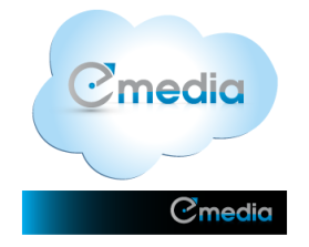 Salesforce Bulletin [emedia] entry by dsdezign