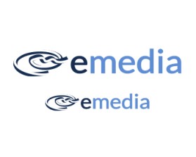 Salesforce Bulletin [emedia] entry by designworkz