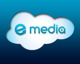 Salesforce Bulletin [emedia] entry by elixirman