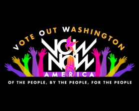 VOWnowAmerica entry by lilbuddydesign