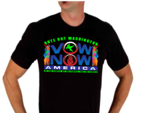 VOWnowAmerica entry by buboy143