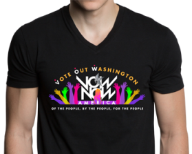 VOWnowAmerica entry by lilbuddydesign