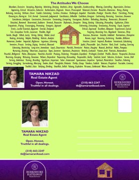 Tamara Nikzad entry by k9ideas