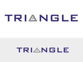 Triangle Realty entry by PANTONE