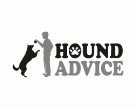 Hound Advice entry by Ahmad Arif
