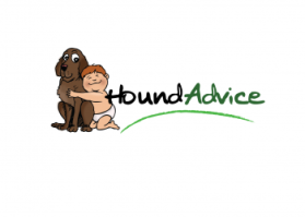 Hound Advice entry by Damian Karl Ellis