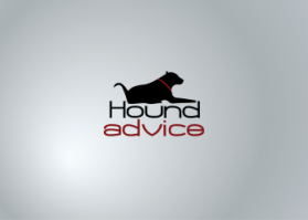 Hound Advice entry by Damian Karl Ellis