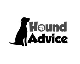 Hound Advice entry by Ibrahim Anas Tangonan