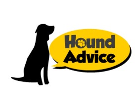Hound Advice entry by Ibrahim Anas Tangonan