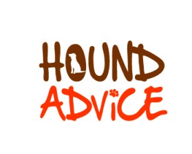 Hound Advice entry by Ibrahim Anas Tangonan