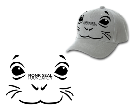 Monk Seal Foundation entry by john12343
