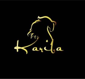 Kariba Horseboxes entry by SIRventsislav
