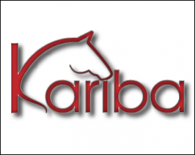 Kariba Horseboxes entry by JasminaB