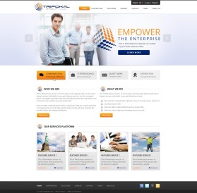 Trifokalgroupllc.com entry by wirepaper