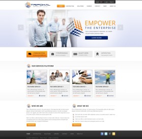 Trifokalgroupllc.com entry by wirepaper