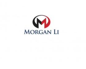 www.morganli.com entry by logo212