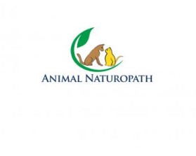 Logo Design entry 818347 submitted by logo212