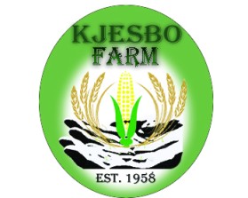 Logo Design entry 819378 submitted by jopet_yamson
