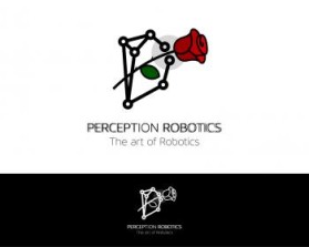 Perception Robotics entry by hunotika