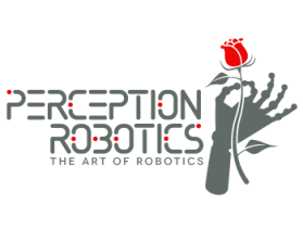 Perception Robotics entry by john12343