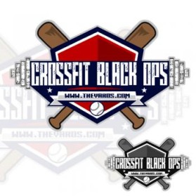 Baseball Logos design