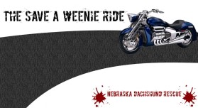 NebraskaDachshundRescue.org entry by beny